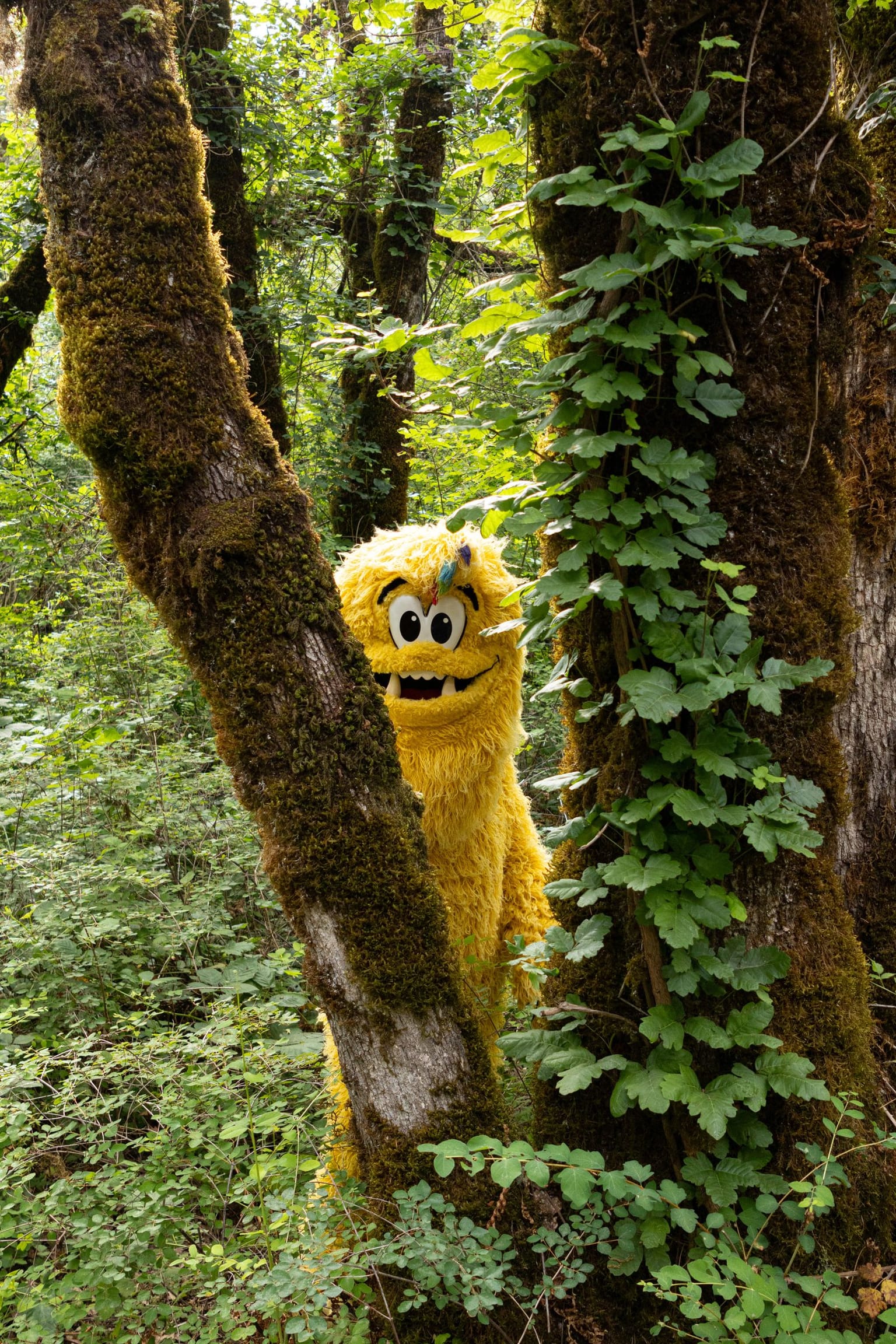 Legend the Bigfoot returns as the Official Mascot of World Athletics U20 Championships Oregon 26:
The local organizing committee for the World Athletics U20 Championships Oregon 26 (WU20 Oregon 26) is pleased to announce the return of Legend the Bigfoot as the official mascot for this August’s championship at Hayward Field at the University of Oregon.
